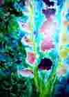 Gladiolas,Watercolor