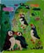 puffins2